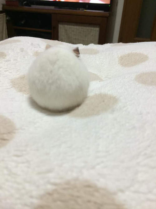 圖片9 圖片9