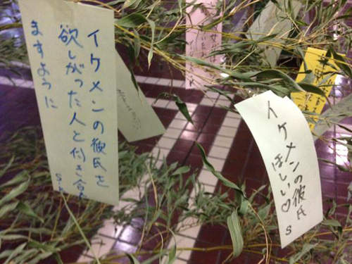 圖片13 圖片13