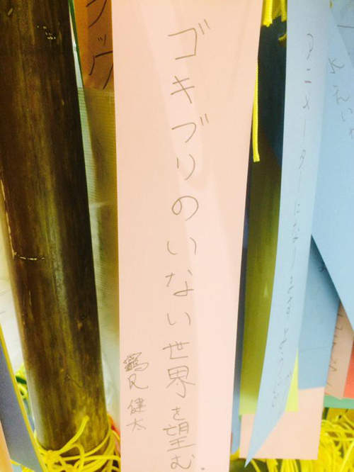 圖片6 圖片6