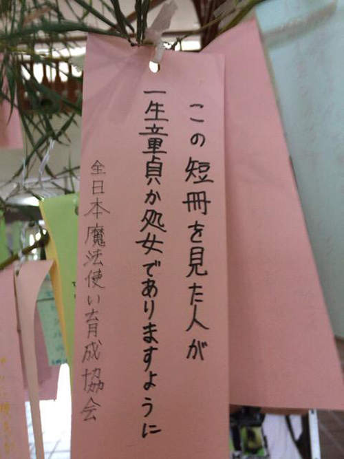 圖片7 圖片7