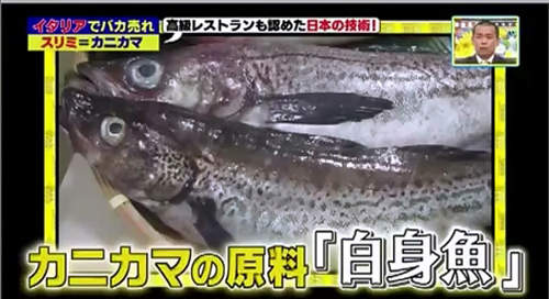 圖片11 圖片11