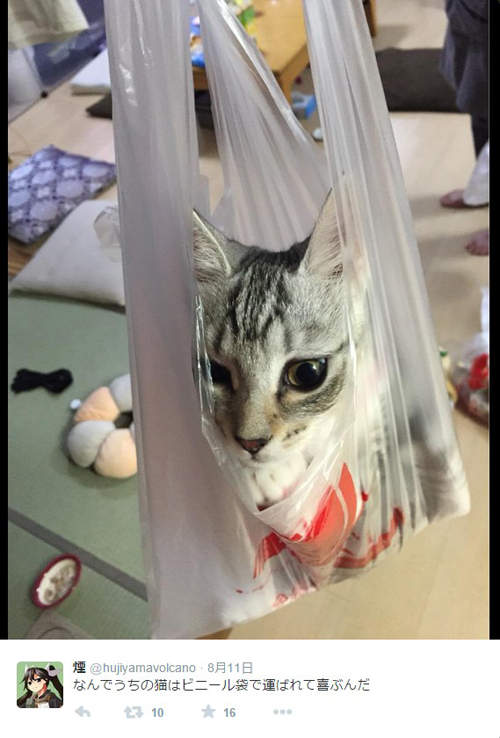 圖片8 圖片8