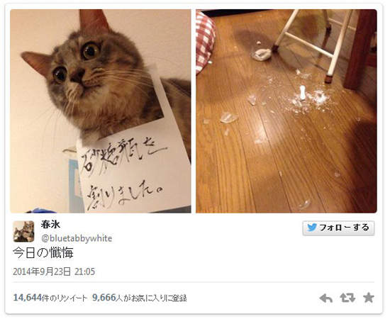 圖片10 圖片10