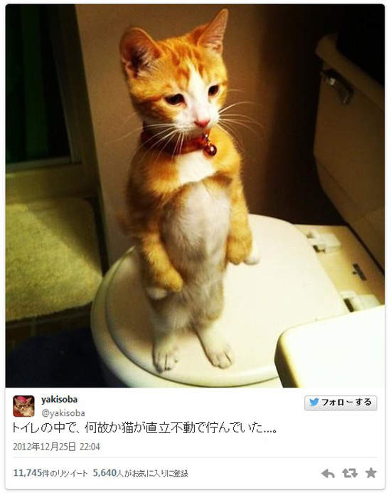 圖片14 圖片14