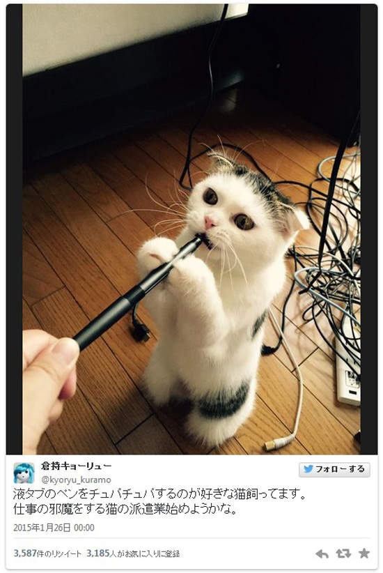 圖片18 圖片18