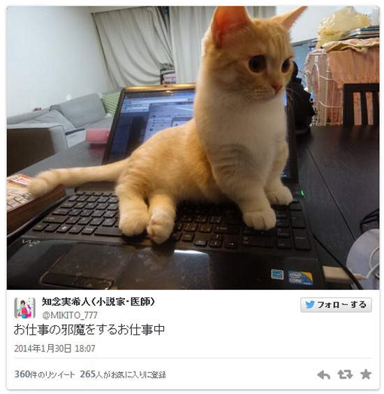 圖片6 圖片6