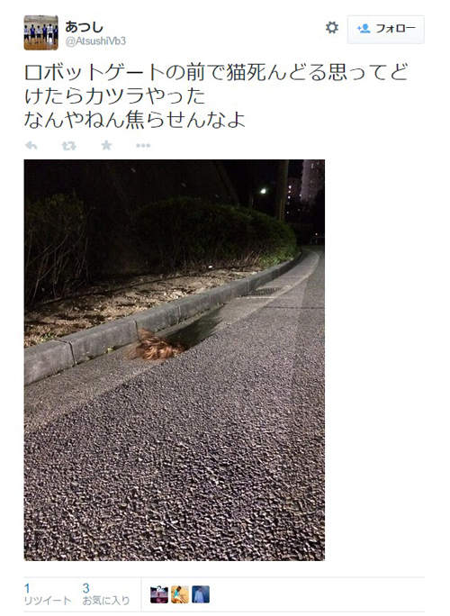 圖片5 圖片5