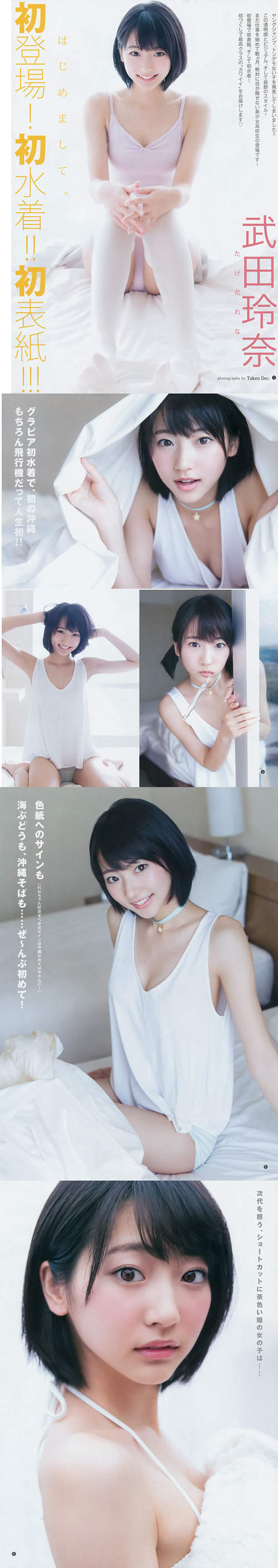 圖片4 圖片4