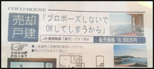 圖片5 圖片5