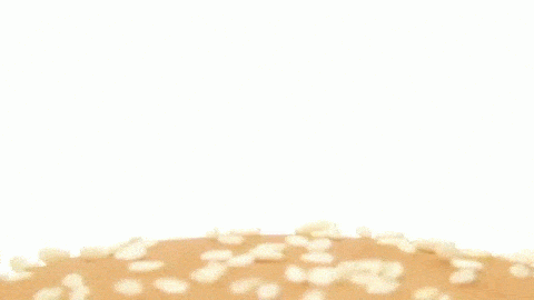 圖片13 圖片13