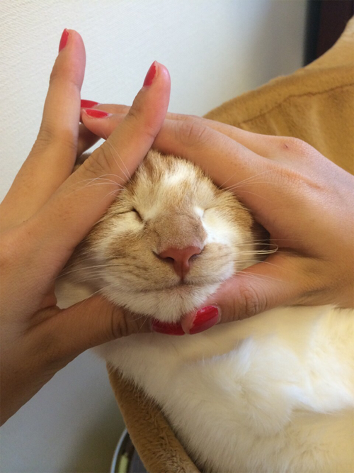 圖片4 圖片4