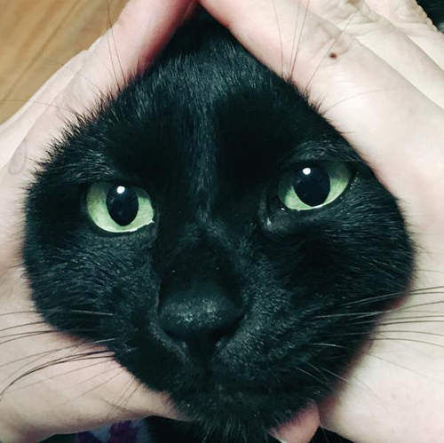 圖片7 圖片7