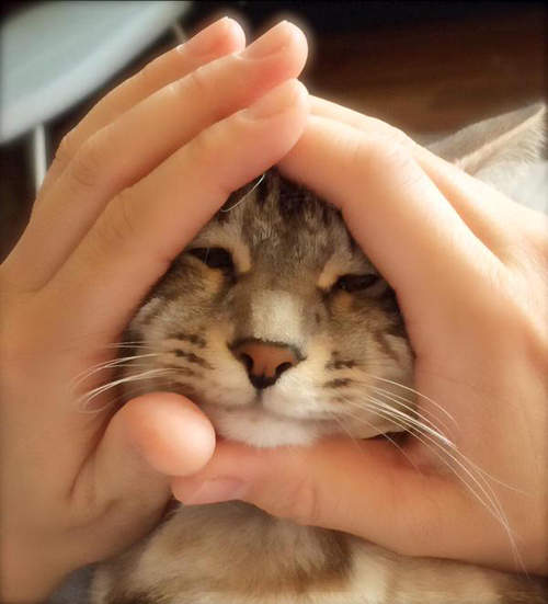 圖片8 圖片8