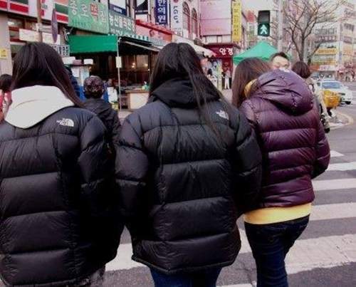 圖片7 圖片7