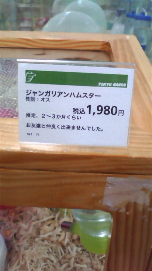 圖片14 圖片14