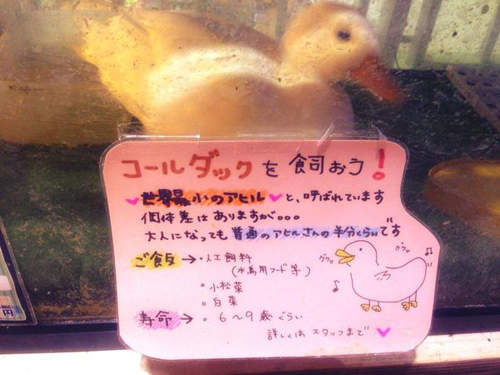圖片15 圖片15