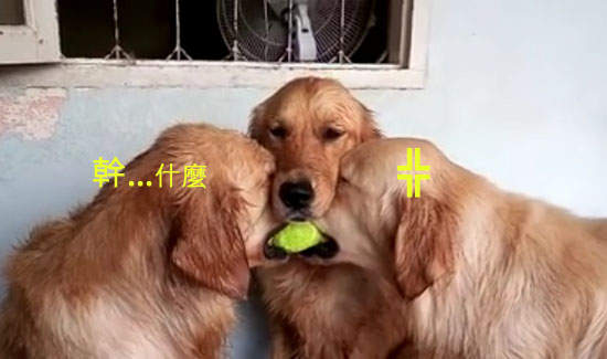 圖片6 圖片6