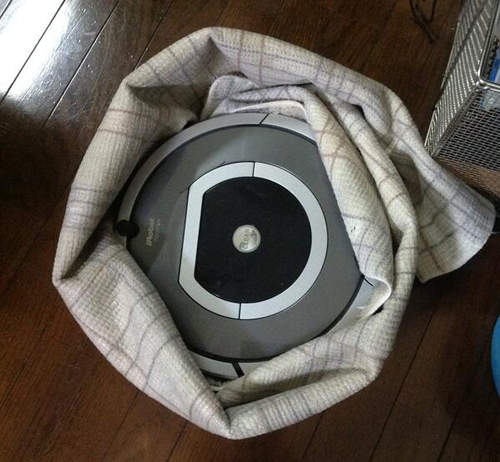 圖片7 圖片7