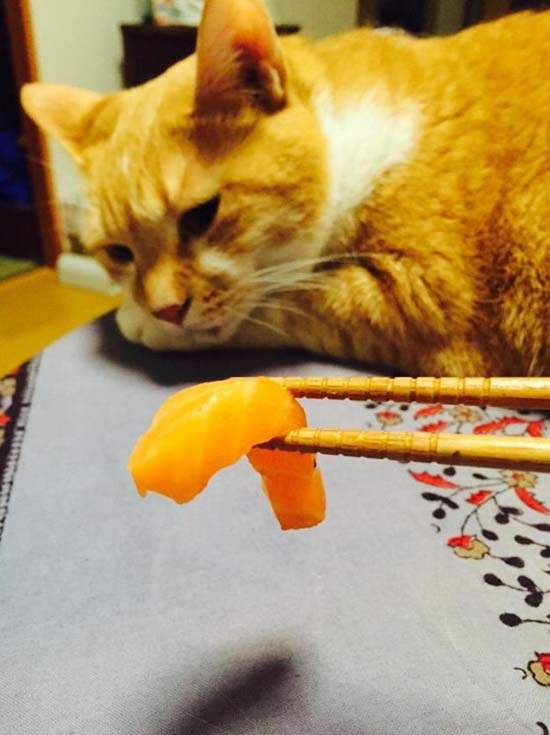 圖片13 圖片13