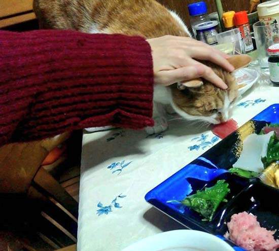 圖片6 圖片6