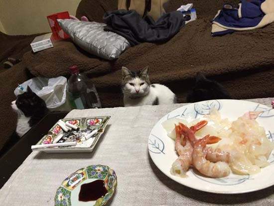 圖片8 圖片8