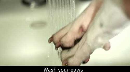 圖片5 圖片5