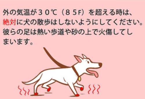 圖片4 圖片4