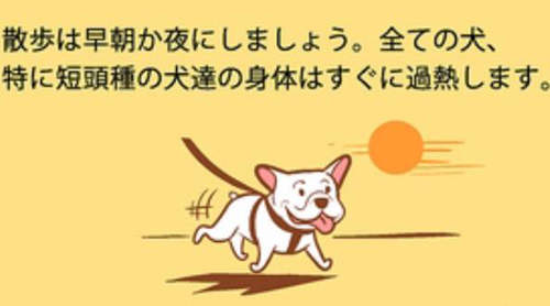 圖片5 圖片5