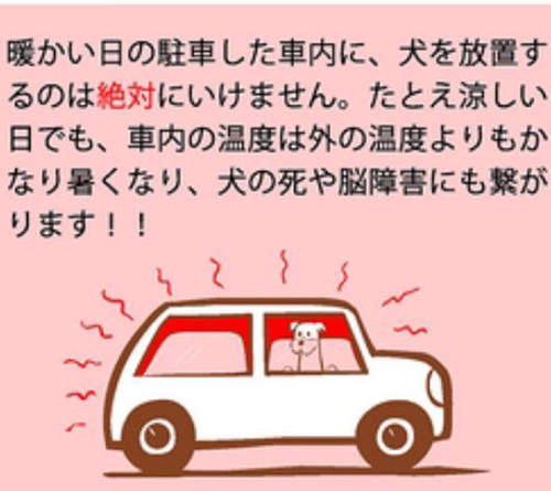 圖片6 圖片6