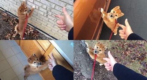 圖片4 圖片4