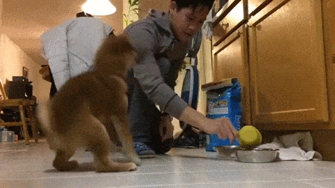 圖片7 圖片7