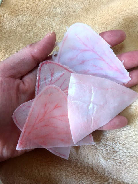 圖片5 圖片5
