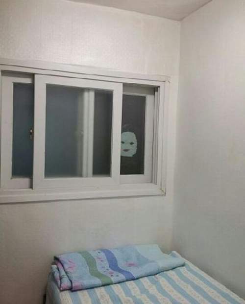 圖片5 圖片5