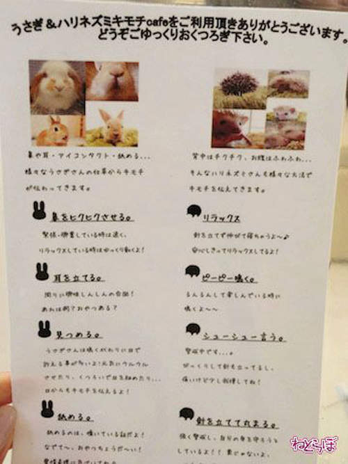 圖片12 圖片12