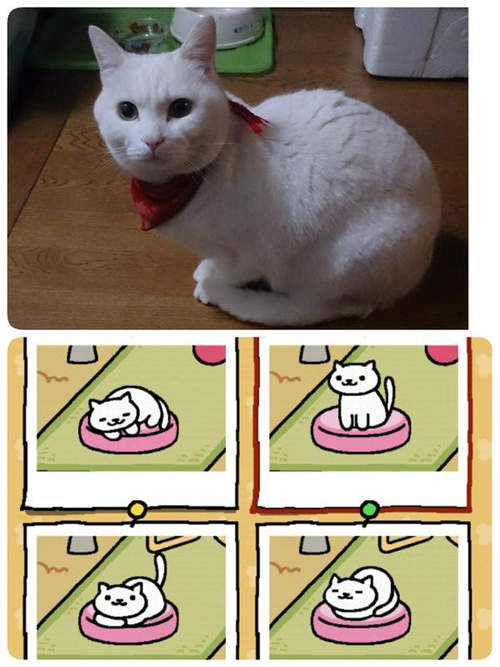 圖片11 圖片11