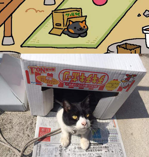 圖片8 圖片8