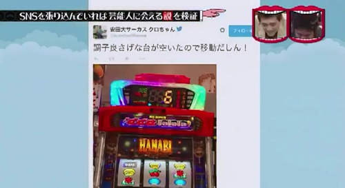 圖片17 圖片17