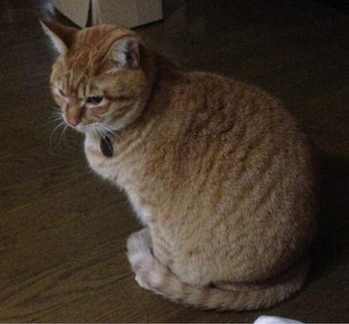 圖片7 圖片7