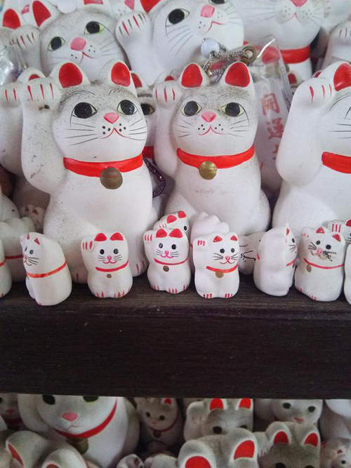 圖片10 圖片10
