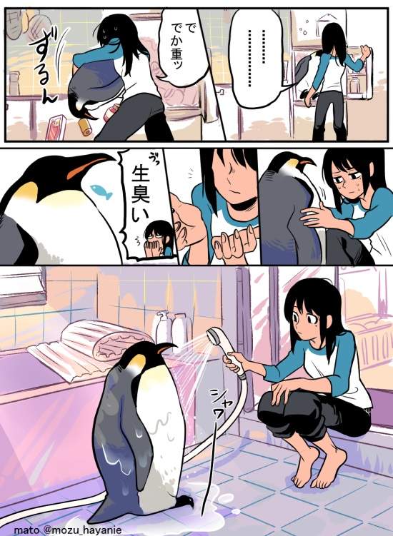 圖片4 圖片4