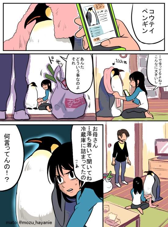 圖片5 圖片5