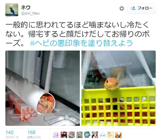 圖片4 圖片4