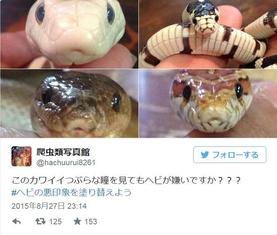 圖片8 圖片8