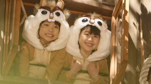圖片11 圖片11
