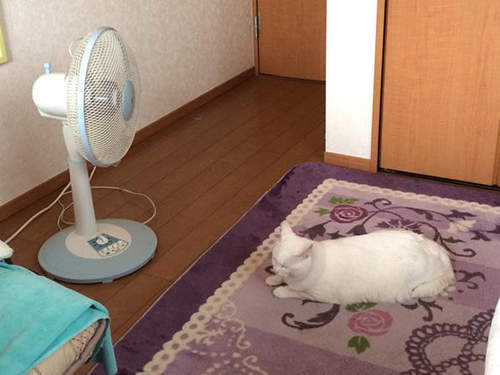 圖片7 圖片7