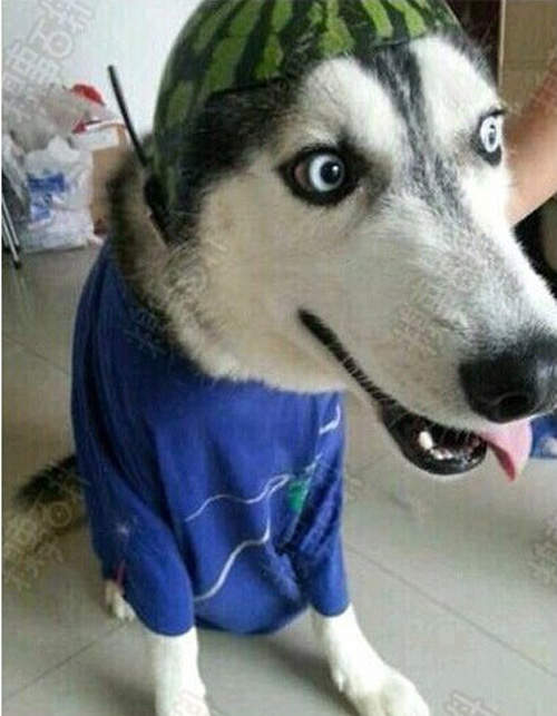 圖片20 圖片20