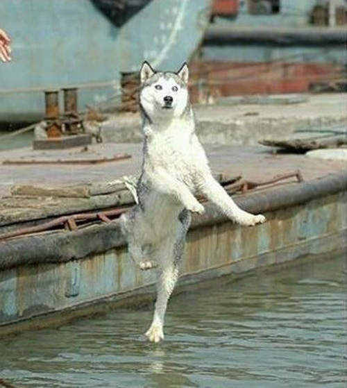 圖片5 圖片5