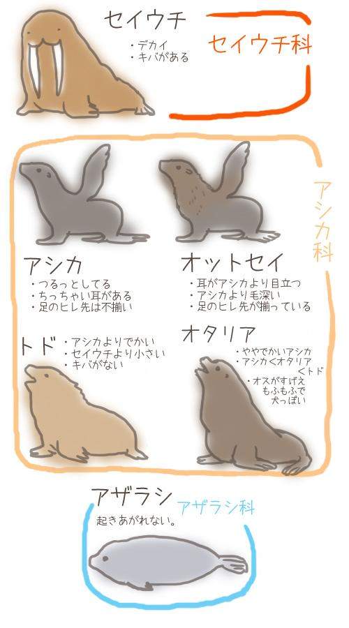 圖片4 圖片4