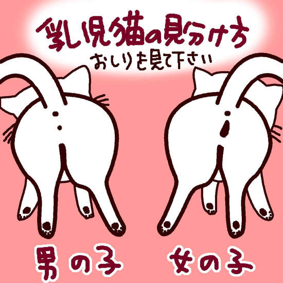 圖片6 圖片6
