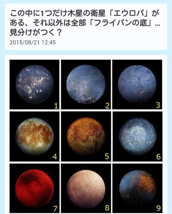 圖片18 圖片18